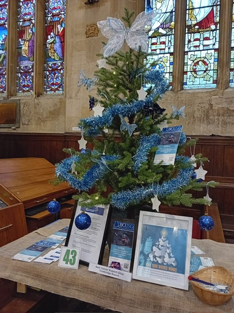 December 2023 - Christmas Tree Festivals 1 image5 1